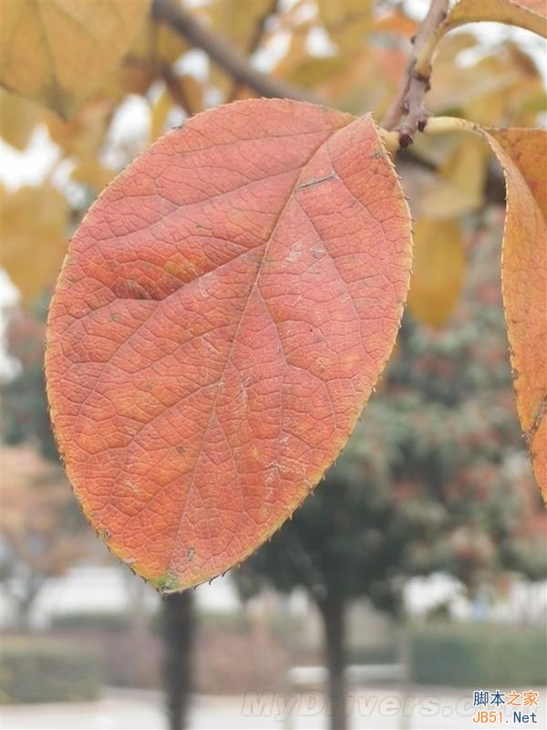 5V/5A：充电速度逆天！OPPO N3全面评测