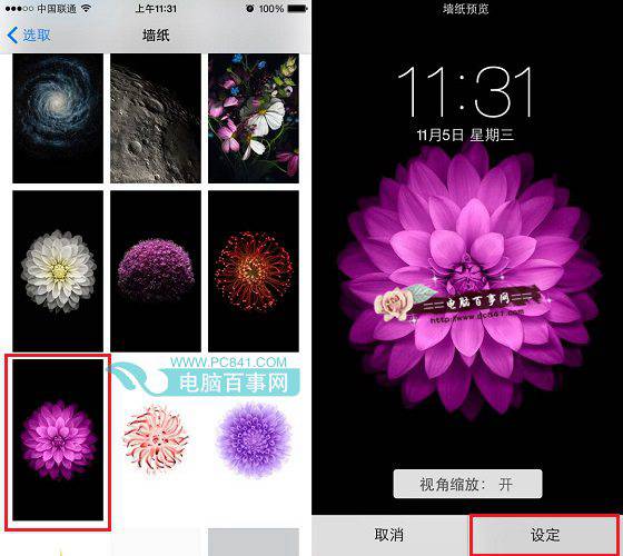 iPhone6 Plus壁纸怎么设置 iPhone6 Plus换壁纸教程