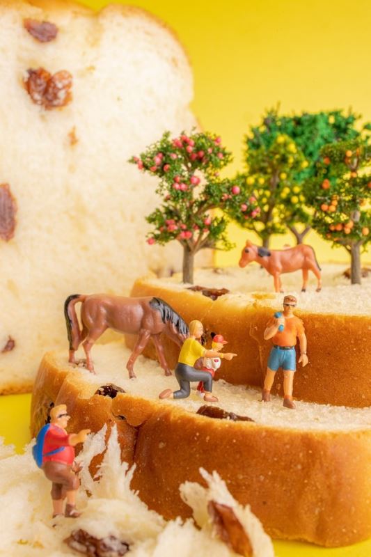 抖音里的创意微距摄影是怎么拍出来的？ 