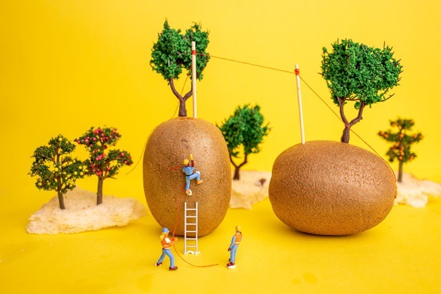 抖音里的创意微距摄影是怎么拍出来的？ 