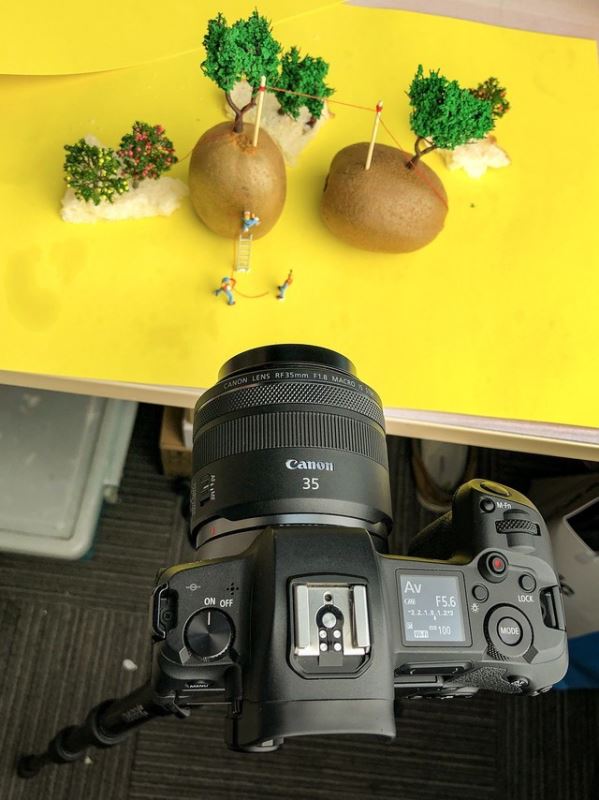 抖音里的创意微距摄影是怎么拍出来的？ 