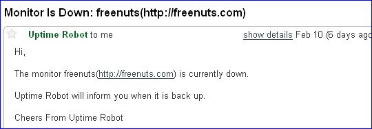 uptimerobote Website Monitoring
