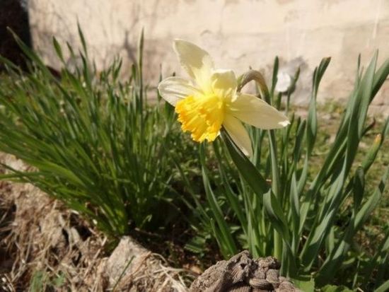 2070W像素光变 三星Galaxy K Zoom上手