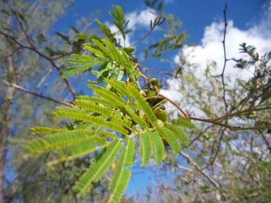 2070W像素光变 三星Galaxy K Zoom上手