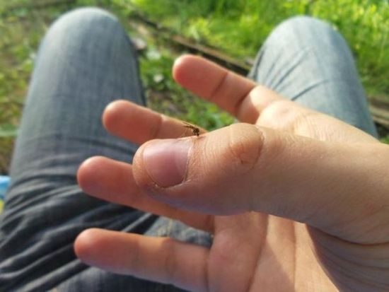 2070W像素光变 三星Galaxy K Zoom上手