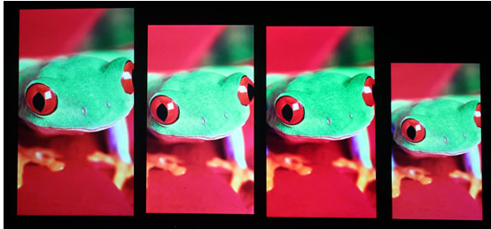 自右向左 一加，锤子，小米4，iPhone 5c