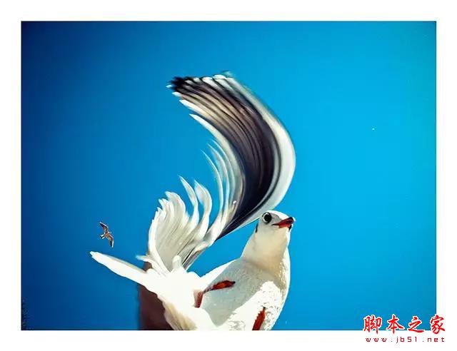 学会这几招,就能用手机拍出好照片!