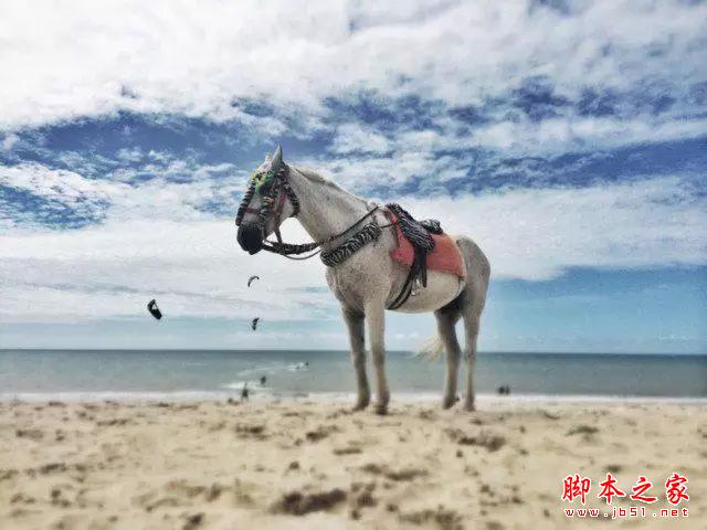 学会这几招,就能用手机拍出好照片!