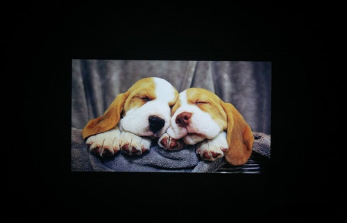 1080p屏双4G 八核大神F2全高清版评测 