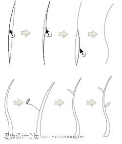 Flash CS4制作伸展的树枝教程,PS教程,思缘教程网