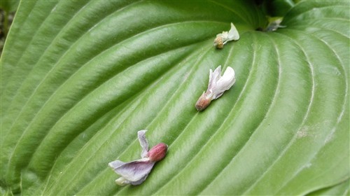 中兴星星2号对比华为p7