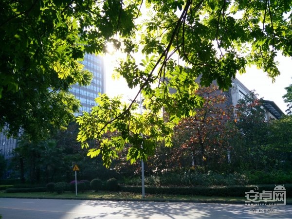 vivo X5Max 评测,情动音乐 HI-FI体验