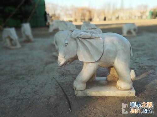 双眼看世界！ 华为荣耀6 Plus拍照体验 