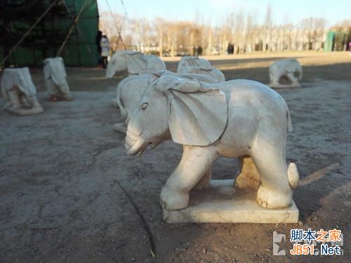 双眼看世界！ 华为荣耀6 Plus拍照体验 