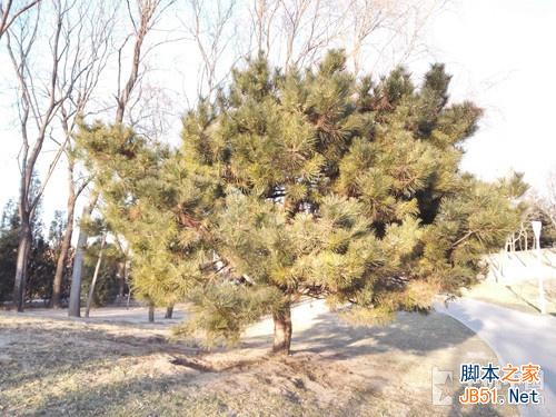 双眼看世界！ 华为荣耀6 Plus拍照体验 