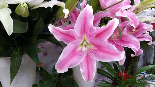 堆栈式摄像头 大神F2全高清版拍照体验 