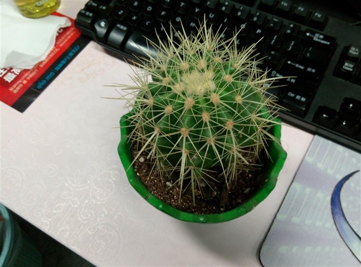 干掉红米Note/取代MX4？魅蓝Note评测 