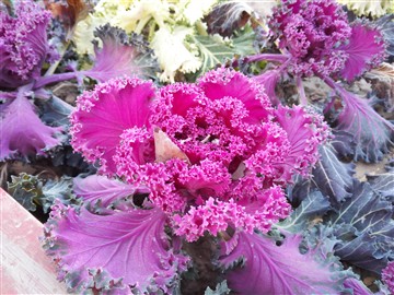 性能均衡/双眼看世界！荣耀6Plus体验