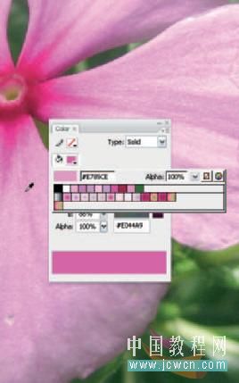 Flash cs3教程：仿真艺术设计1.13——渐变填充实现写实效果的技巧_中国教程网