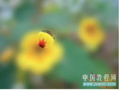 Flash cs3仿真艺术设计3.6：运用遮罩打造焦点效果_中国教程网