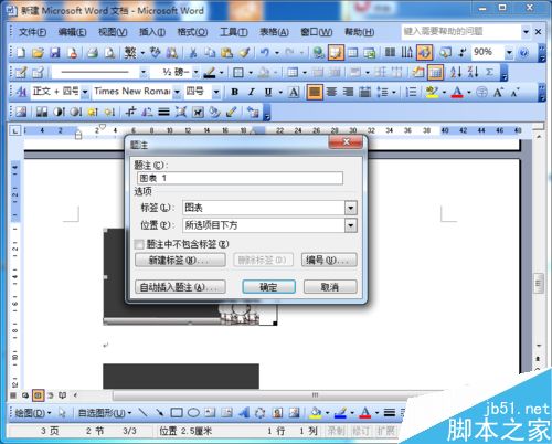 word2003如何为图片自动编号