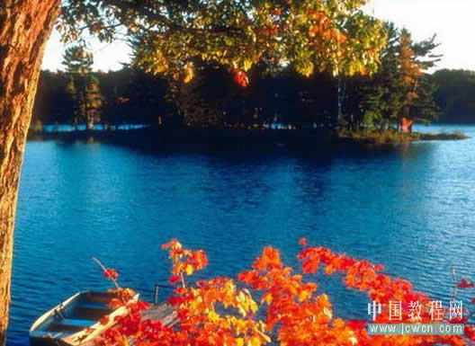 Flash制作飘落的红叶视觉动画特效(无AS)