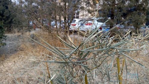 QQ图片20150114094744 QQ图片20150114094744