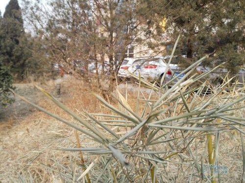 QQ图片20150114094603 QQ图片20150114094603