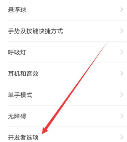 小米play怎么打开开发者选项?小米play开启开发者选项教程