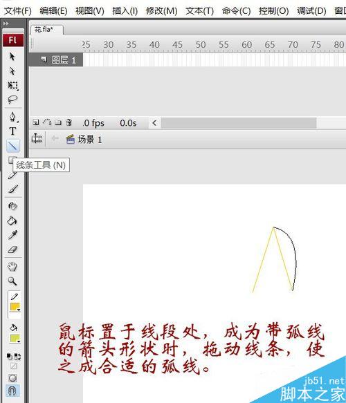 用flash绘制一朵花