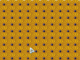 flash脚本ROLL运用实例——她在丛中笑