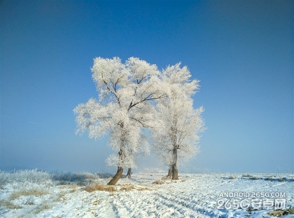 小米Note拍照不及iPhone 6 但不逊5s?