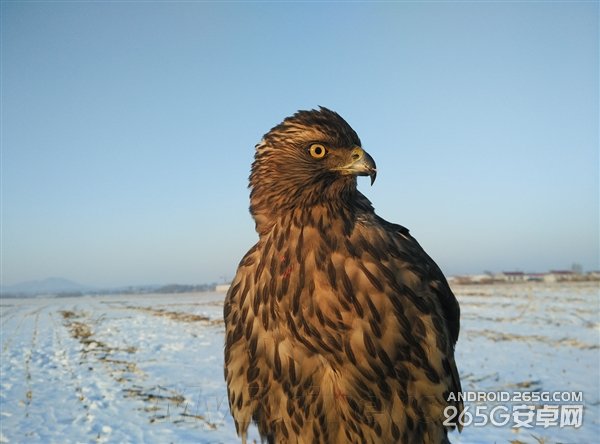 小米Note拍照不及iPhone 6 但不逊5s?