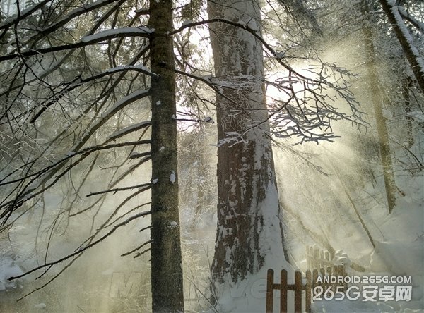 小米Note拍照不及iPhone 6 但不逊5s?