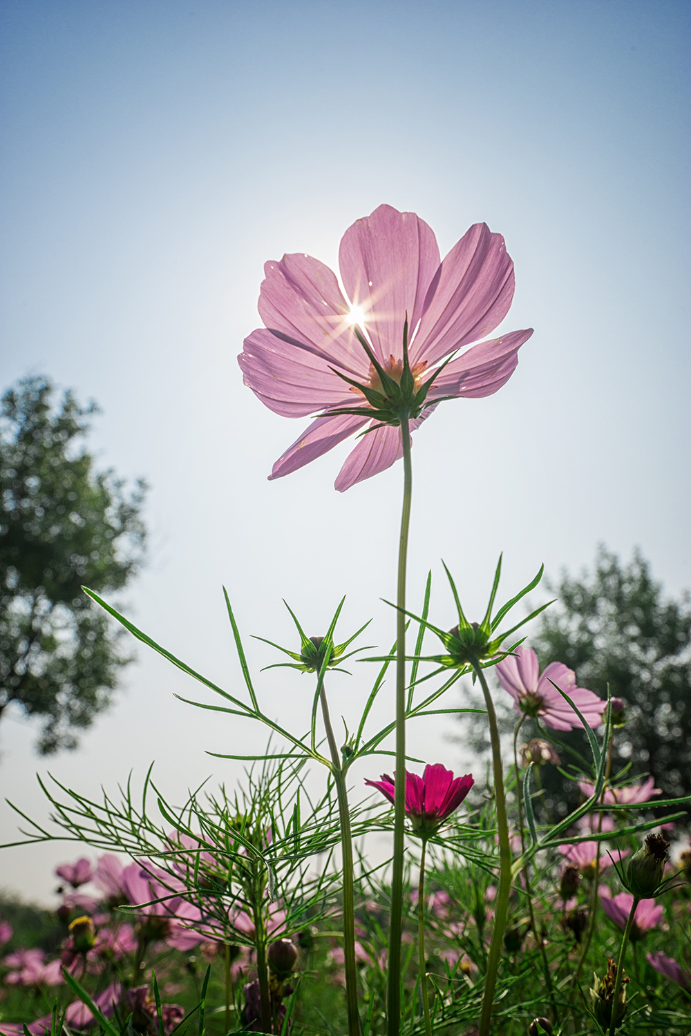 05