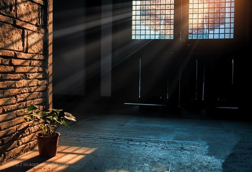 90%的人摄影基本功不及格 学如何准确曝光