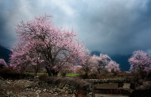 90%的人摄影基本功不及格 学如何准确曝光