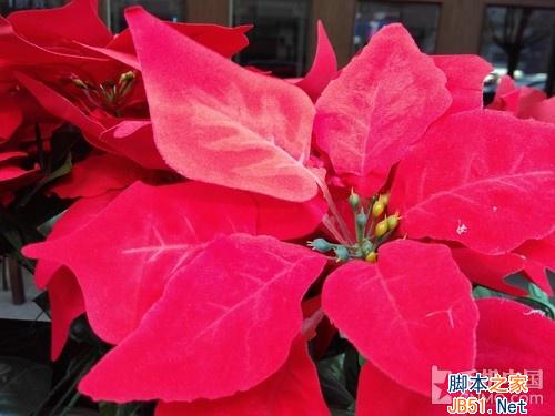 价格只差100元 红米2和乐檬K3对比评测 