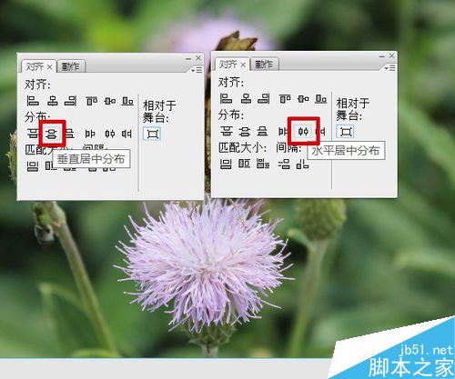 flash按钮控制实例——改变图片大小深浅