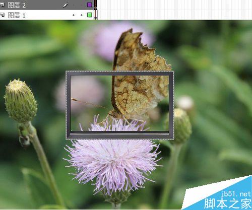 flash按钮控制实例——改变图片大小深浅