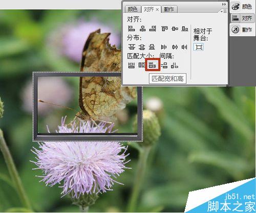 flash按钮控制实例——改变图片大小深浅