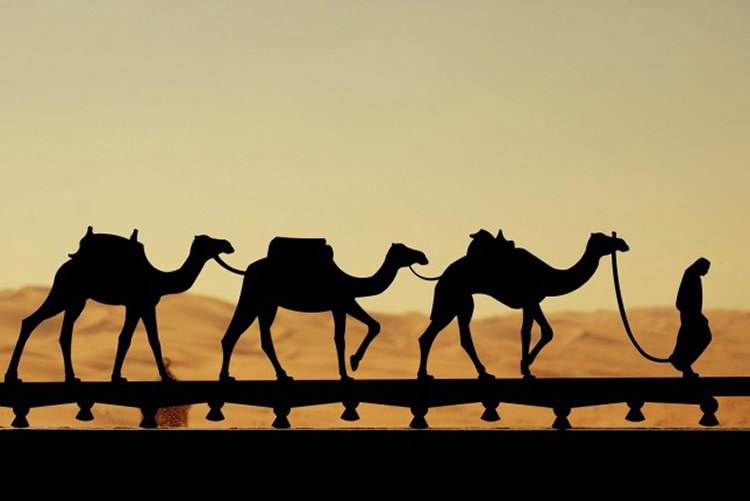 拍摄具有故事情节的剪影 脚本之家