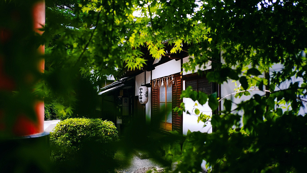 摄影构图技巧前景的运用 脚本之家