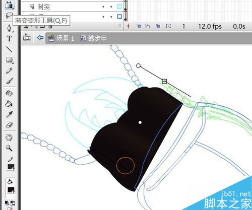 flash绘制昆虫——蝼步甲