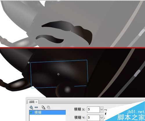 flash绘制昆虫——蝼步甲