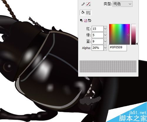 flash绘制昆虫——蝼步甲