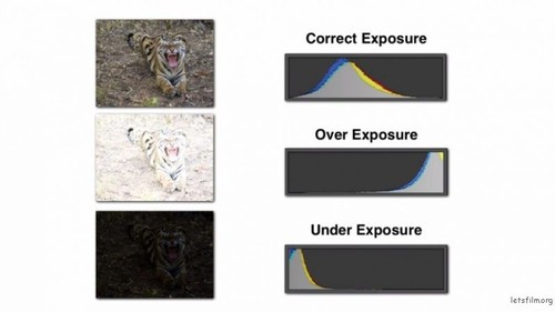 对你有帮助 新手必备6个日常的摄影练习