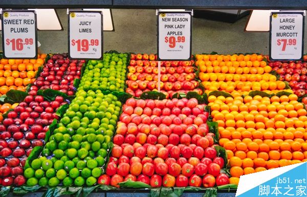 用手机拍飞在空中的海鸥？！能行吗？