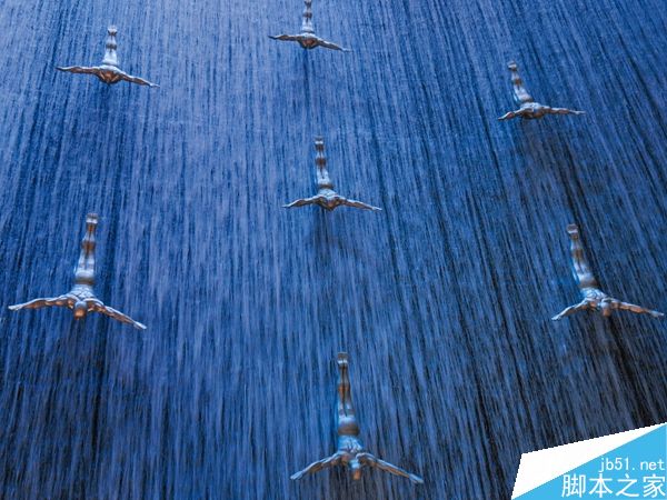 用手机拍飞在空中的海鸥？！能行吗？