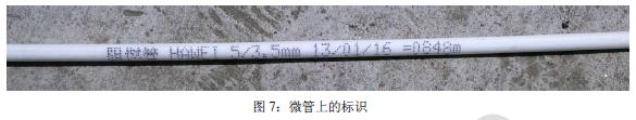 图7:微管上的标识